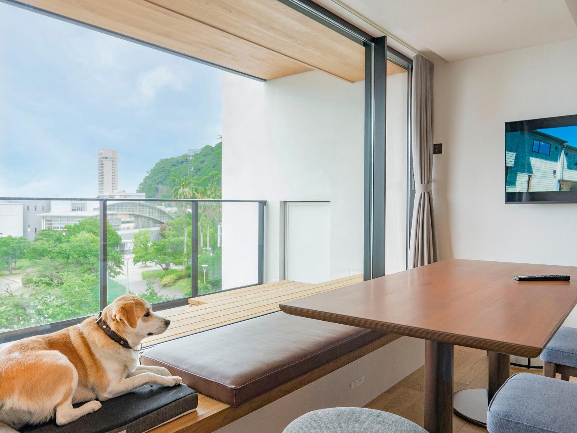 Rakuten Stay Atami Chambre photo